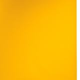 Superior Achtergrond Rol Forsythia Yellow (nr 14) 2.72m x 11m